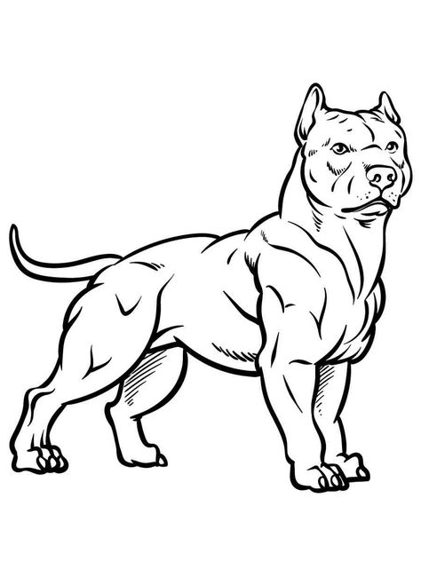 Pitbull Coloring Pages, Pitbull Character Design, Pitbull Drawing Cartoon, Pitbulls Drawing, Pitbull Dog Drawing, Riley Drawing, Dog Easy Drawing, Pit Bull Drawing, Deadlift Platform