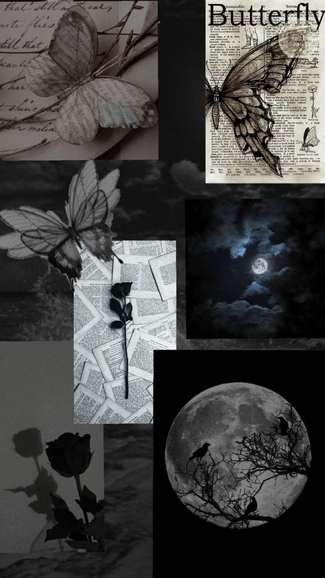 Moon And Butterfly, Hello Wallpaper, Slytherin Wallpaper, Fairy Photography, Blue Moon Photography, Black And White Photo Wall, Future Wallpaper, Night Sky Photography, Pretty Wallpapers Tumblr