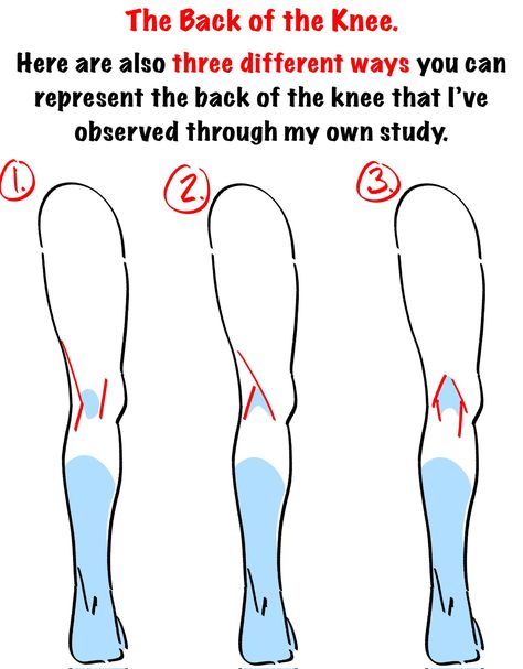 Leg References, Twitter Notes, Human Anatomy Reference, Anatomy Tutorial, Human Anatomy Drawing, Body Drawing Tutorial, Human Anatomy Art, Anatomy Sketches, Anatomy For Artists