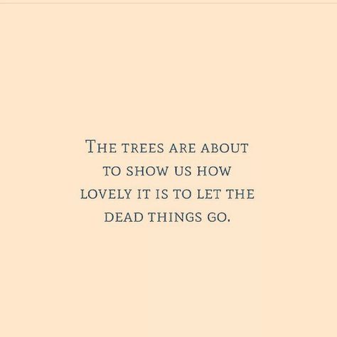 The trees are about to show us how lovely it us to let the dead things go Witch Samhain, Chalk Board Quotes, Witch Spring, Let Things Go, Dreams Quotes, Write A Novel, Autumnal Equinox, Samhain Halloween, The Deathly Hallows