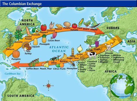 10 Major Accomplishments of Christopher Columbus | Learnodo Newtonic Columbian Exchange, Basic Geography, World History Lessons, 5th Grade Social Studies, Map Reading, Social Studies Classroom, Christopher Columbus, Teaching Spanish, Us History