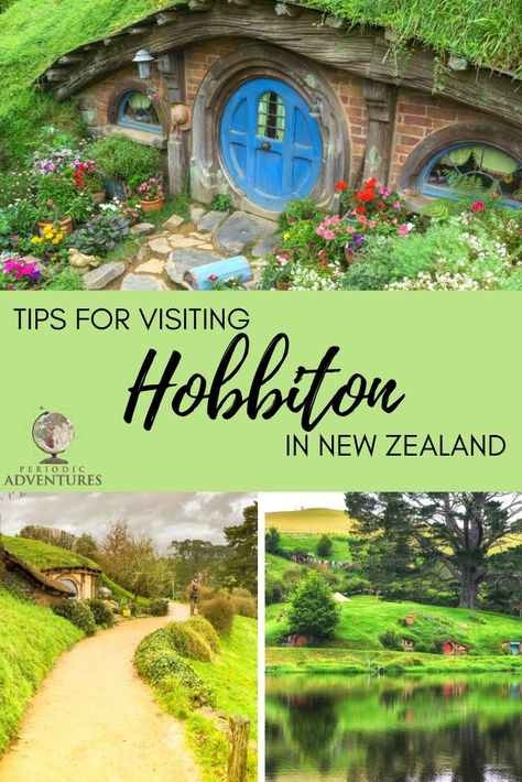 Unique Couple Tattoos, Hobbiton New Zealand, Salmon Bowls, Celebrity Fashion Fails, Bbq Salmon, New Zealand Itinerary, North Island New Zealand, New Zealand Adventure, Mango Avocado Salsa