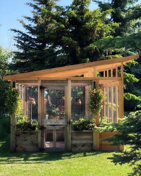 The Happy Gardening Life™ 🌞’s Instagram post: “#GardenGoals shoutout to @hangontothewind for this awesome garden setup! 🤩🤩 DOUBLE TAP if you want a garden space like this!…” Outdoor Greenhouse Ideas, Greenhouse Floor Ideas, Enclosed Garden Structures, Small Greenhouse Ideas, Studio Greenhouse, Greenhouse Winter, Garden Enclosure Ideas, Greenhouse Terrarium, Greenhouse Planting