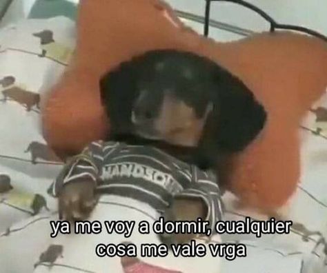 A Mimir, Spiritual Words, Selfie Poses Instagram, In Memes, Pinterest Memes, Memes Bts, Life Memes, Cartoon Jokes, Really Funny Pictures