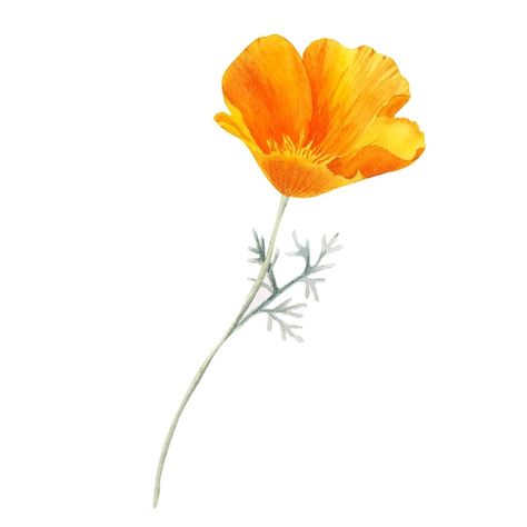 California Poppy Fine Line Tattoo, Orange Poppy Tattoo, California Poppy Drawing, Yellow Flower Tattoos, California Poppy Tattoo, California Poppy Art, Poppy Flower Tattoo, Poppy Tattoo, Orange Poppies