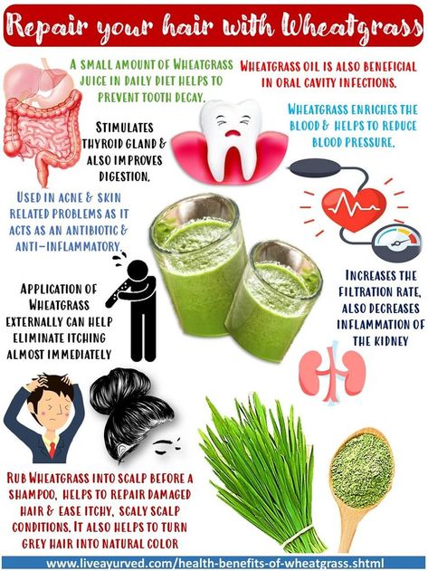 wheatgrass juice Patanjali, wheat grass powder Patanjali, benefits of wheatgrass juice, Health benefits of wheatgrass juice, benefits of wheatgrass for cancer Wheat Grass Powder, Wheatgrass Benefits, Wheatgrass Smoothie, Wheatgrass Juice, Wheatgrass Powder, Juice Benefits, Food Vocabulary, Green Juice Recipes, Natural Acne