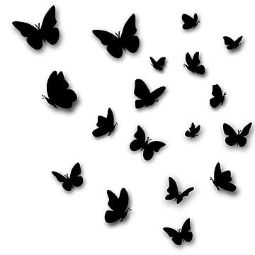 original,black,butterfly,silhouette,size,compared,flying,projection Black Butterfly Background, Group Silhouette, Butterflies Silhouette, Black Butterfly Tattoo, Silhouette Background, Butterfly Shadow, Cactus Silhouette, Silhouette Butterfly, Butterfly Silhouette