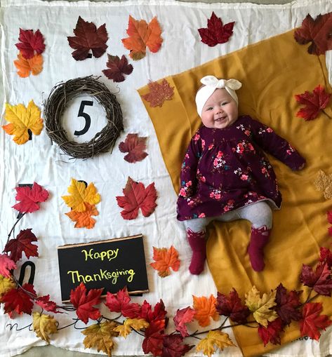 5 Months Baby Photoshoot Ideas, 11 Month Old Baby, 5 Month Baby, Photo Halloween, Baby Milestones Pictures, Monthly Pictures, Monthly Baby Pictures, Milestone Pictures, Chunky Babies