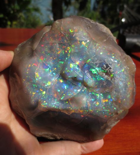 Huge Rough Ethiopian Welo Opal Geology Rocks, Rock Minerals, Pretty Rocks, Beautiful Stones, Beautiful Rocks, Mineral Stone, Minerals And Gemstones, Rough Opal, Rocks And Gems