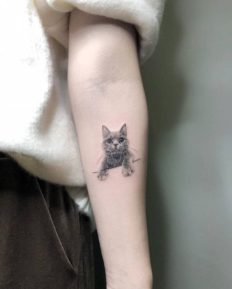 Tattoos Of Cats, Straight Tattoo, Small Tattoo Simple, 9 Tattoo, British Cat, Ray Tattoo, Tattoo Cute, Tier Tattoo, Cute Cat Tattoo