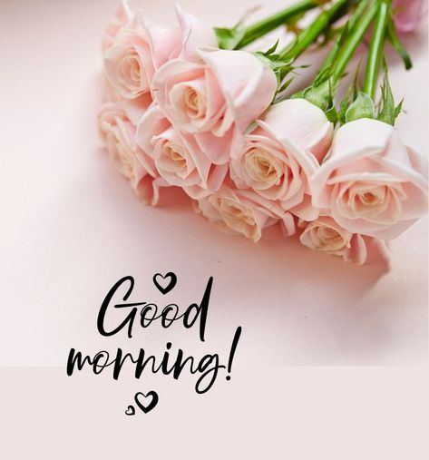 Good Morning With Roses, Good Morning Wishes For Her, Good Morning With Flowers, Ella Quotes, Simple Good Morning, Morning Messages Quotes, Beautiful Morning Images, New Good Morning Images, Flowers Morning