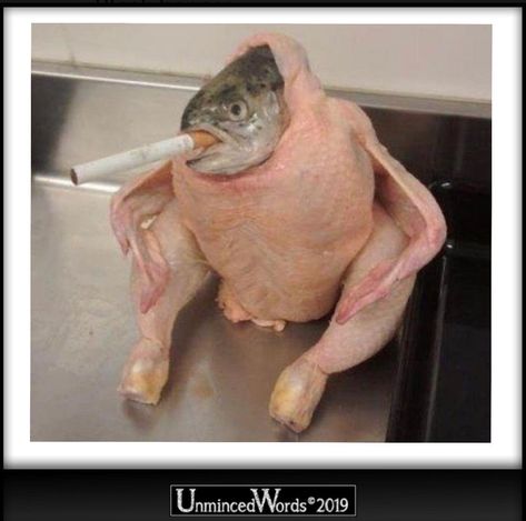 Genetic Engineering, New Best Friend, Happy Thanksgiving, Best Friend, Thanksgiving, Fish, Humor, Funny, Gifts