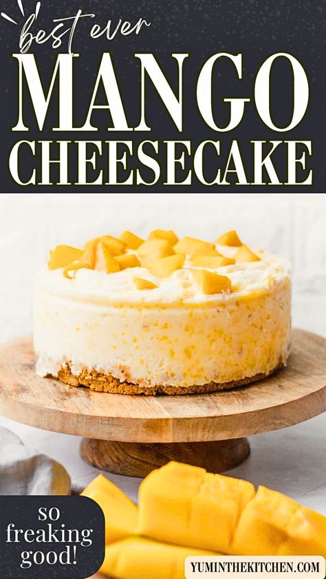 Looking for an easy, no bake dessert? Try this mango cheesecake recipe! It's creamy, refreshing, and features an easy graham cracker crust. Perfect for when you want a quick and delicious treat without turning on the oven. Ideal for summer parties or a family dessert night. Mango No Bake Cheesecake, No Bake Mango Cheesecake Recipes, Mango Desserts Recipes, Easy Graham Cracker Crust, Mango Cheesecake Recipe, No Bake Mango Cheesecake, Cheesecake Healthy, Dessert Night, 4 Ingredient Desserts