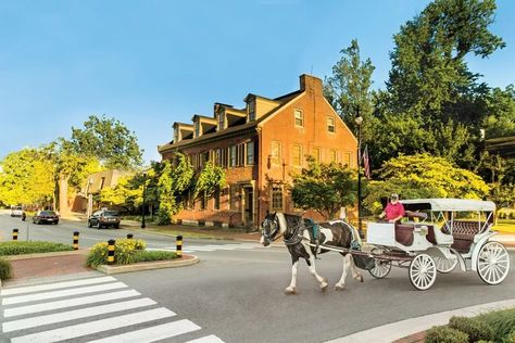 The Most Charming Small Towns In Kentucky Places To Visit In Kentucky, Bardstown Kentucky, Louisville Kentucky, Small Towns, Kentucky, This Year, Things To Do, Places To Visit