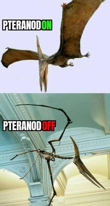 Scary Dinosaurs, Fossil Ideas, Aurorus Pokemon, Jurassic Park Dilophosaurus, Dinosaur Memes Funny, Jurassic Period Dinosaurs, T Rex Memes Hilarious, Nerd Memes, Jurrasic Park