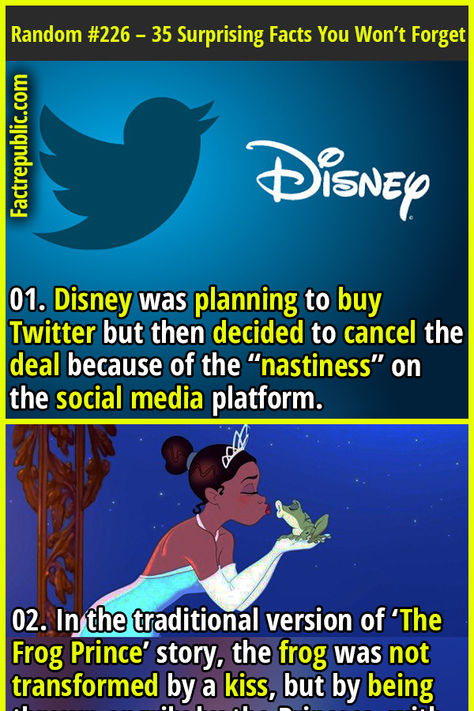 Disney World Facts And Secrets, Disneyland Facts, Disneyland Facts And Secrets, Disney World Memes Funny, Disneyland Secrets, Disney Theory, Disney Fun Facts, Wow Facts, Walt Disney World Memes