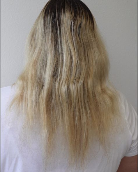 strong, healthy hair is a journey, not something that happens overnight! This client came to me a couple of months ago with heavily grown out roots, dry straw like ends, getting a brush through it was hard, it had zero life to her hair where she didn’t know what to do or where to go! Maintaining her blonde was a request of hers which I wanted to honor. However, I wanted to do this the healthiest way I could. SO she put her trust in me and here’s what we did! ✔️ got her on a home care sy... Grown Out Blonde Hair Roots, Grown Out Bleached Hair, Blonde Hair Roots, Outgrown Roots, Grown Out Blonde, Grown Out Roots, Grown Out Blonde Hair, Strong Healthy Hair, Blonde Hair With Roots