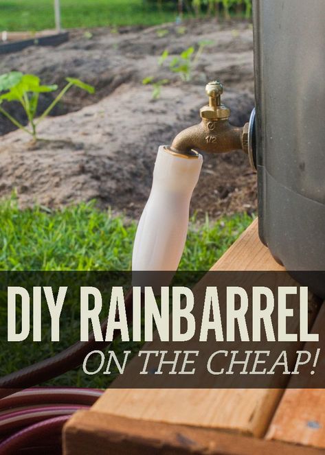 Diy Rain Barrel, Barrels Diy, Buy My House, Homemade Stuff, Water Bill, Rain Chain, Water Collection, Rain Barrel, Rain Water Collection