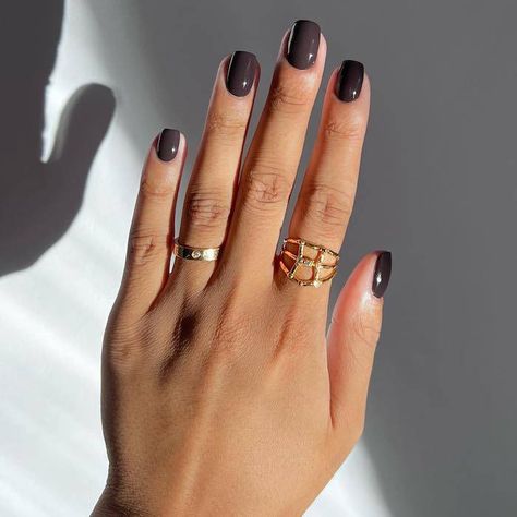 Short Nails Are Trending—These Celeb Manicures Are Proof | Who What Wear Simple Fall Nails, Cute Short Nails, Celebrity Nails, Nail Colors Winter, Short Square Nails, Deep Autumn, Minimal Nails, Brown Shade, Round Nails