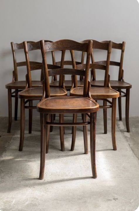 Antique Dining Chairs, Thonet Chair, Bistro Furniture, Woman Bag, Bentwood Chairs, Bag Trends, Shop Interior Design, Home Room Design, Living Room Seating