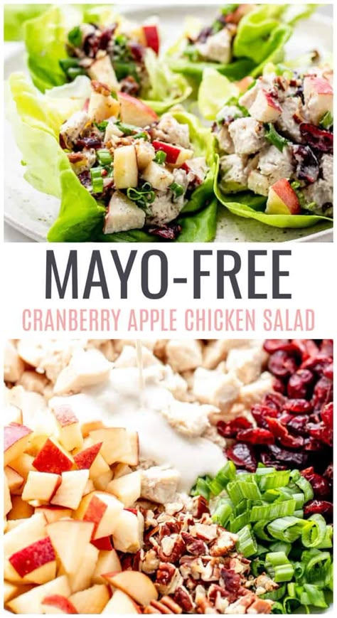 Cranberry Chicken Salad {No-mayo} - Haute & Healthy Living Chicken Salad With No Mayo, Cranberry Chicken Salad Recipe Healthy, Cranberry Apple Chicken Salad, Healthy Chicken Salad No Mayo, No Mayo Salads, No Mayo Chicken Salad Recipes, Chicken Salad Recipe Without Mayo, Chicken Salad Recipe No Mayo, Chicken Salad Without Mayo