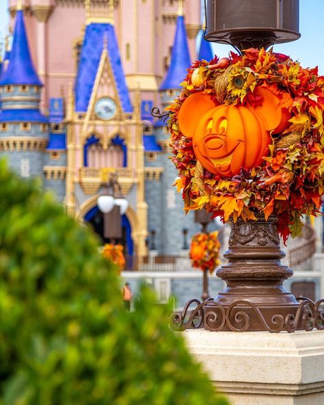 Pumpkin Magic, Mickey Pumpkin, Halloween Music, Dark Disney, Disney Halloween, Music Is, Magic Kingdom, Walt Disney World, Halloween Themes