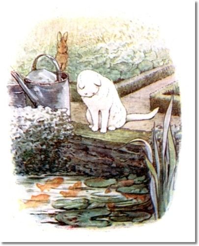 Beatrix Potter: The Tale of Peter Rabbit 1903, Peter watches white cat at McGregors fish pond. Peter Rabbit Illustration, Cat And Rabbit, Beatrix Potter Illustrations, Beatrice Potter, Peter Rabbit And Friends, Rabbit Illustration, 22 December, Vintage Drawing, Cats Illustration