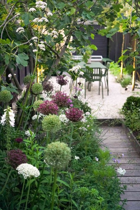 Moderne Have, English Garden Design, Seaside Garden, Backyard Gardening, Coastal Gardens, Garden Types, Have Inspiration, The Secret Garden, Plants And Flowers