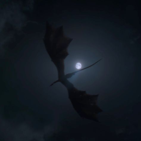 house of the dragon icon Queen Of Dragons Aesthetic, House Of Dragon Icon, Dragon Aesthetic Black, Wyvern Aesthetic, Dragon Core Aesthetic, House Of The Dragon Pfp, House Of Dragons Aesthetic, Dragon Icon Aesthetic, House Dayne Aesthetic