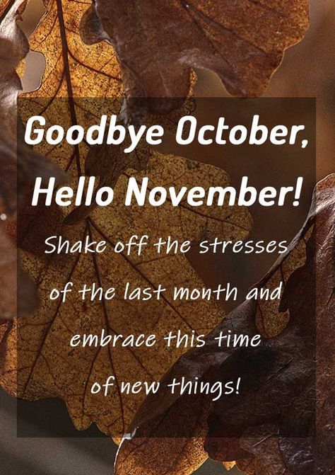 Goodbye October Hello November quotes cute Inspirational Positive Happy new month fall autumn pics Happy New Month Pictures, Hello November Quotes, Goodbye October Hello November, Happy New Month November, Goodbye October, October Hello, Happy New Month Quotes, November Images, New Month Quotes