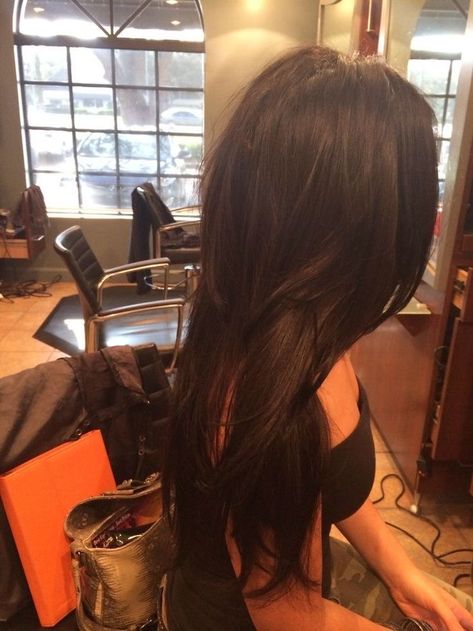 Arab Goddess, Hair Manifestation, Eden Rain, Layers For Long Hair, Silky Black Hair, Straight Layers, Tory Vega, Inspo Hair, Haircut Inspo