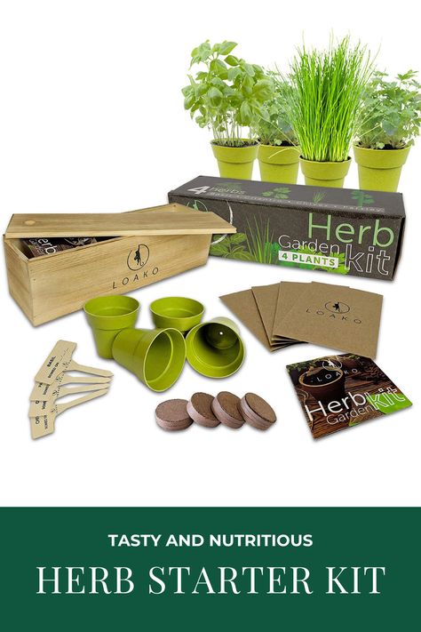 Gardening Kit Gift, Bonsai Kit, Bonsai Fruit Tree, Craft Kits For Adults, Seeds Growing, Eco Friendly Cups, Seed Starter Kit, Herb Garden Kit, Indoor Herb