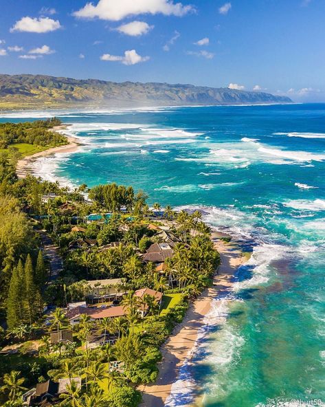 @tburt50 on Instagram: “💙 It’s been a colorful winter on Oahu’s North Shore 🌴 . . . #Hawaii #Oahu #NorthShoreOahu #HNNSunrise #HaveAlohaWillTravel…” North Shore Hawaii, Hawaii Kauai, Sea Illustration, North Shore Oahu, Hawaii Oahu, Horse Aesthetic, Pacific Islands, Beach Wallpaper, Oahu Hawaii