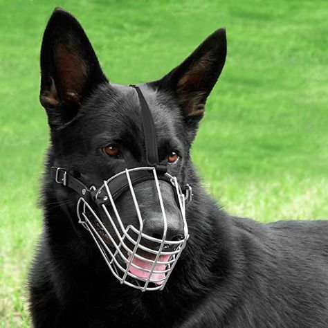 Muzzled Dog, Dog Muzzles, Calorie Chart, Bizarre Animals, Tactical Dog Harness, Julius K9, K9 Dogs, Scary Dogs, Dog Muzzle