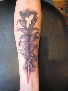 Kris Smith. #coastline #coastlinetattoo #tattoo #ptown #provincetown #capecod #customtattoos #pride #pridetattoos #massachusetts #massachusettstattoo #decoratetheworld #tattooartist #tattooartistmagazine #tattooculturemagazine #getawesome! #ink #inked #feather #feathertattoo #blackandgray #bird #birdtattoo Bird Rocks, Hawk Feather, Red Tail Hawk, Freedom Tattoos, Hawk Tattoo, Bird Tattoo Wrist, Flying Bird Tattoo, Tattoo Bird, Native American Tattoos