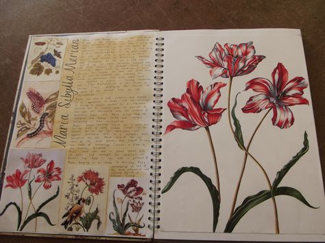 Textiles Flowers Sketchbook, Flower Sketchbook Pages, Floral Sketchbook Ideas, Gcse Flowers Sketchbook, Natural Forms Textiles Sketchbook Pages, Artist Research Page Gcse Flowers, Nature A Level Art, Sketbook Pages, Garden Gcse Art