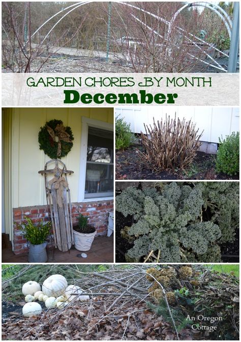 Garden chores for the month of December including the fruit and vegetable garden, flower garden, and basic lawn and yard care. Fruit And Vegetable Garden, Winter Vegetables Gardening, Planting Potatoes, Month Of December, Fall Garden Vegetables, Organic Vegetable Garden, Yard Care, Healthy Garden, Garden Care