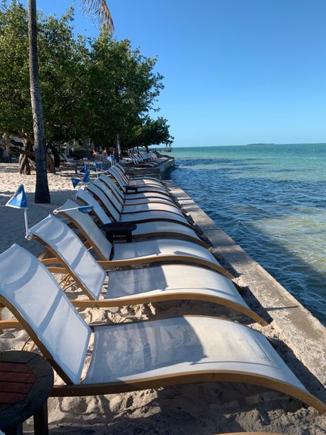 Bakers Cay Key Largo, Bakers Cay Resort, Florida Keys Resorts, Fire Pit Seating Area, Pool At Night, Key Largo Florida, Usa Florida, Family Pool, Fire Pit Seating