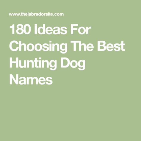 180 Ideas For Choosing The Best Hunting Dog Names Hunting Dog Names, Top Dog Names, Dogs Names List, One Syllable Names, Most Popular Dog Names, Nature Inspired Names, Popular Dog Names, Badass Names, Boy Dog Names