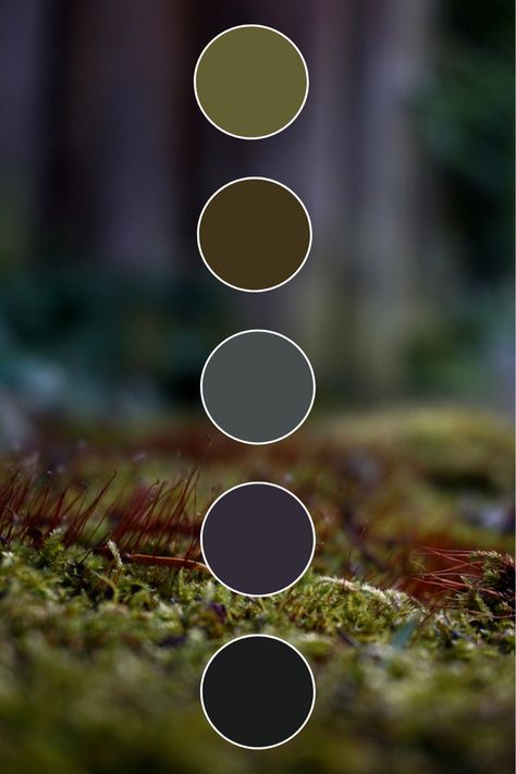 Palette of colors of the forest, green moss.  The colors of the cool, humid forest are green, brown, mustard. Bronze Green Color Palette, Moss Colour Palette, Goblin Core Color Palette, Moss Green Palette, Celtic Color Palette, Rich Green Color Palette, Swamp Color Palette, Black Green Color Palette, Earthy Green Color Palette