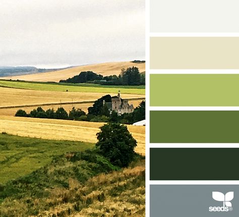 Color View Seeds Color Palettes, Design Seeds Color Palette, Seeds Color Palette, Seeds Color, Color Concept, Color Palette Challenge, Palette Ideas, Green Pastel, Colour Inspiration