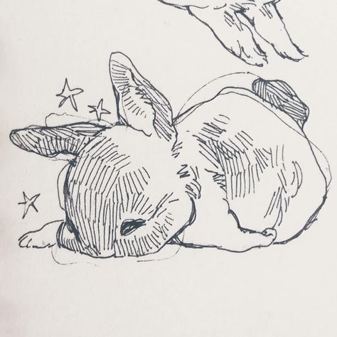 Character Artist, 캐릭터 드로잉, Cute Doodle Art, Arte Sketchbook, Dessin Adorable, Animal Sketches, Book Art Drawings, Cool Art Drawings, Sketchbook Art Inspiration