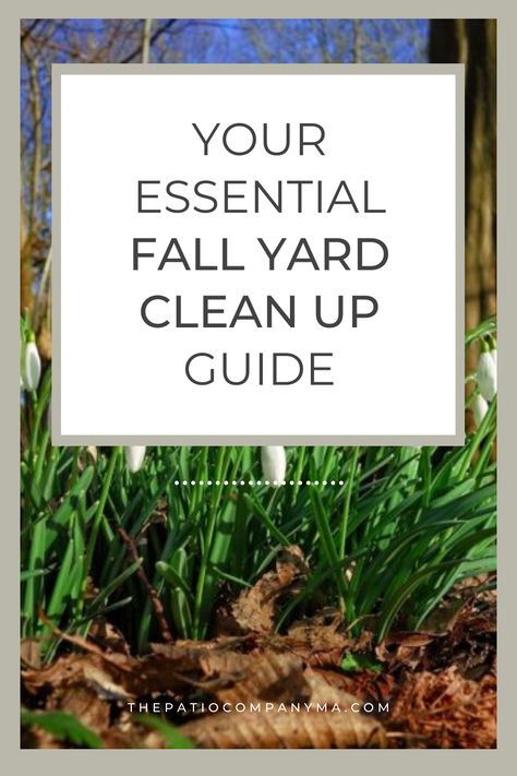 Fall is an important time of the year for your garden and requires some maintenance to keep your garden in tip top shape throughout the year. Read our must do fall clean up tasks to prepare your yard for the months ahead. Garden Clean Up Tips Fall, Fall Yard Maintenance Checklist, Fall Yard Maintenance, Fall Cleanup Yard, Fall Garden Clean Up, Fall Yard Clean Up, Yard Clean Up Tips, Denver Garden, Fall Lawn Maintenance