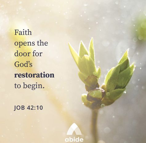 Job 42 10, Spiritual Growth Quotes, Bible Sayings, Christians Quotes, Spiritual Strength, Beautiful Verses, Adorable Quotes, Devotional Reading, Minions Wallpaper