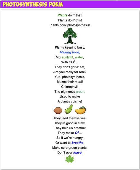 Mr. R.'s fun science poem to help teach about photosynthesis!😃 Science Poems, Science Topics, Best Poems, Elementary Science, Photosynthesis, Grade 3, Fun Science, Grammar, Literacy