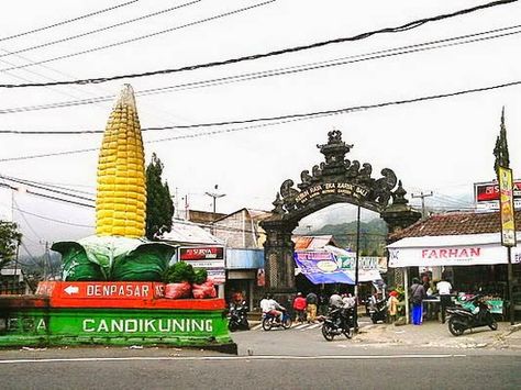 Bali Indonesia Holiday Travels: Candi Kuning Market Offers Variety of Refreshments... Vegetable Market, Traditional Market, Botanical Garden, Holiday Travel, Botanical Gardens, Eiffel Tower, Bali, Entrance, Fair Grounds