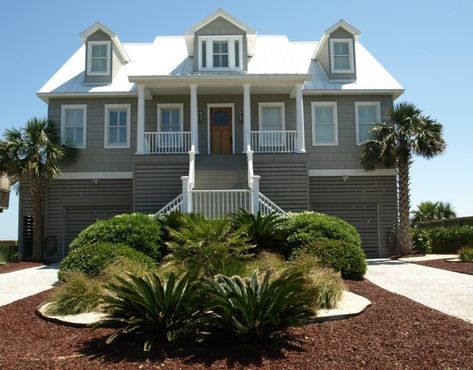 Salt Tolerant Plants for the South Carolina Coast | Home & Garden Information Center Salt Tolerant Plants, Coastal Landscaping Ideas, Coastal Cottage House Plans, Beach House Landscaping, Coastal South Carolina, South Carolina Coast, Coastal Landscaping, Carolina Coast, South Carolina Beaches