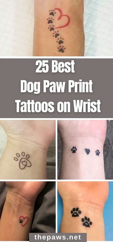 Small Tattoo Paw Prints, Dog Paw Print Tattoo Ideas For Women, Tattoos For Pet Lovers, Tiny Tattoos For Dog Lovers, Dog Paw Tattoo On Wrist, Cat Paw Print Tattoo On Wrist, Tattoo Pet Ideas, Small Tattoo Ideas For Dogs, Tiny Pawprint Tattoos