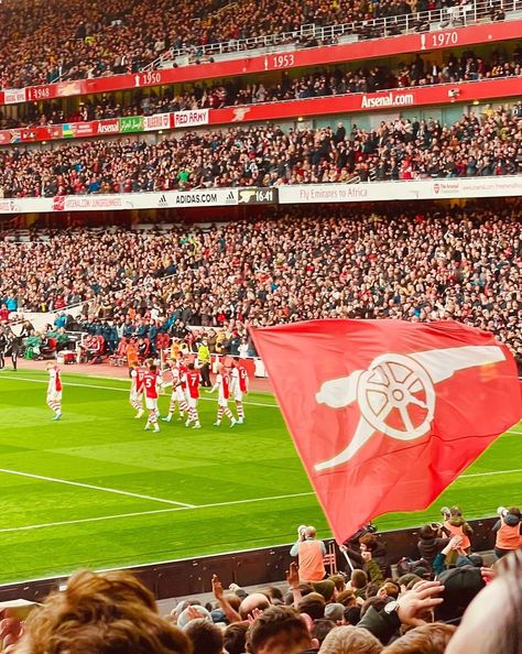 Arsenal Emirates Stadium, Arsenal Aesthetic, Arsenal Stadium, Football Aesthetic, Arsenal Women, Emirates Stadium, Fly Emirates, Uk Summer, Football Photography