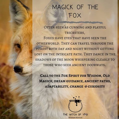 🌒🦊🌘 Its witchy wisdom Wednesday! Foxes just happen to be my favorite spirit guide. Often constructed in stories as a cunning and vile… Fox Witchcraft, Fox Poetry, Dreaming Of Him, Fox Goddess, Fox Symbolism, Fox Magic, Fox Quotes, Fox Therian, Animal Signs